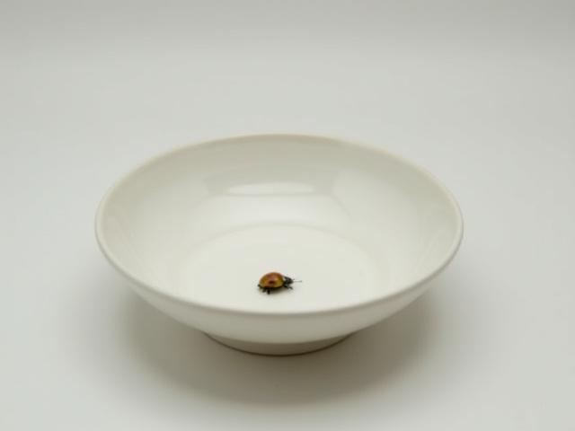 小さなコガネムシが描かれた小鉢